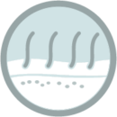 [:en]1 hair[:]
