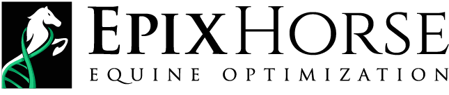 Epixhorse