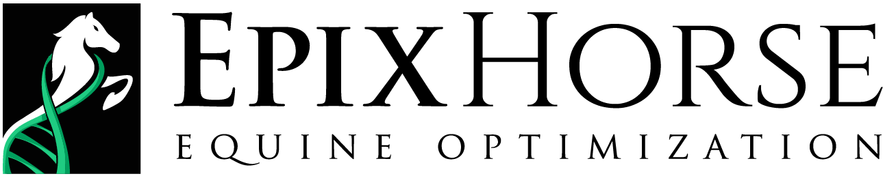 Epixhorse